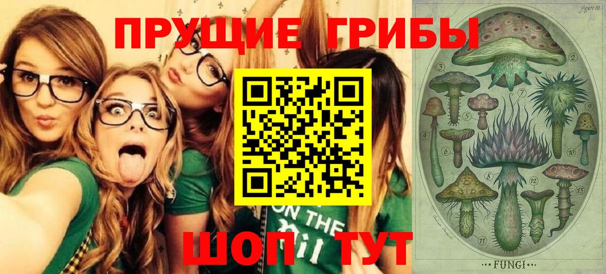 Псилоцибиновые грибы мицелий Россошь