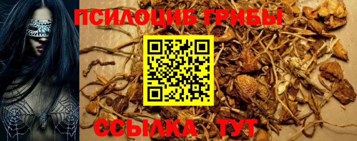 Галлюциногенные грибы MAGIC MUSHROOMS  Галлюциногенные грибы Psilocybe  Россошь  Вход с VPN 